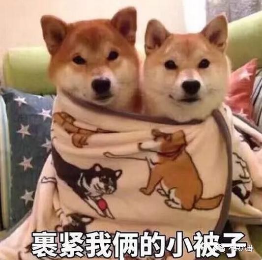 ​酒后乱性 + 疑似劈腿！徐开骋被张天爱和娜扎齐锤渣男！