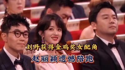 ​赵丽颖：从龙套到金鸡奖提名的传奇人生与未竟的演艺之路