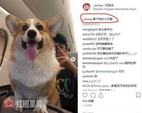 ​王思聪女友陈雅婷个人资料年龄几岁 陈雅婷微博账号多少
