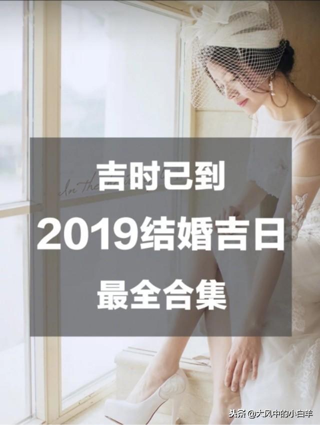 ​结婚必看！2019年结婚吉日大全！