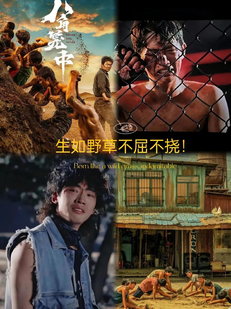 现实题材电影《八角笼中》正在热映中，今日影片发布“穷途末路”正片片段，向腾辉（王宝强 饰）与孩子们的前途再次陷入泥沼之中。片段中，李校长（李杨 饰）答应免除孩子们的借读费，却向向腾辉提出巨额赞助费的要