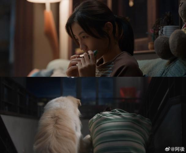 今日（6月2日），电影《说再见》释出影院版预告，张子枫饰演的女孩小满冒雨解救流浪小狗，从对峙到试探再到双向奔赴，短短20秒的片段让不少观众直呼戳心。影片由薛晓路担任监制及编剧，新晋导演董宏杰执导，张子