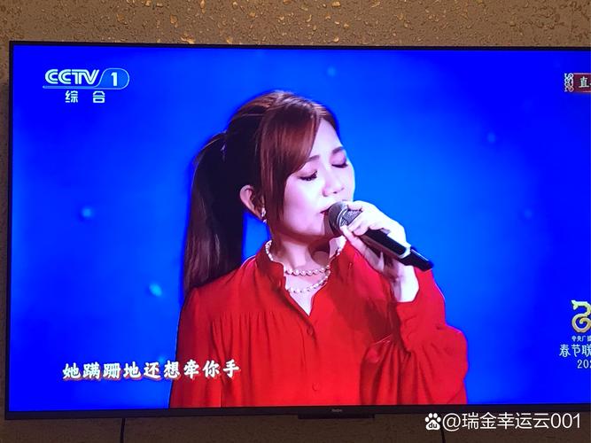 歌手平安登央视《天下有情人》 献唱《我们都是追梦人》贺七夕