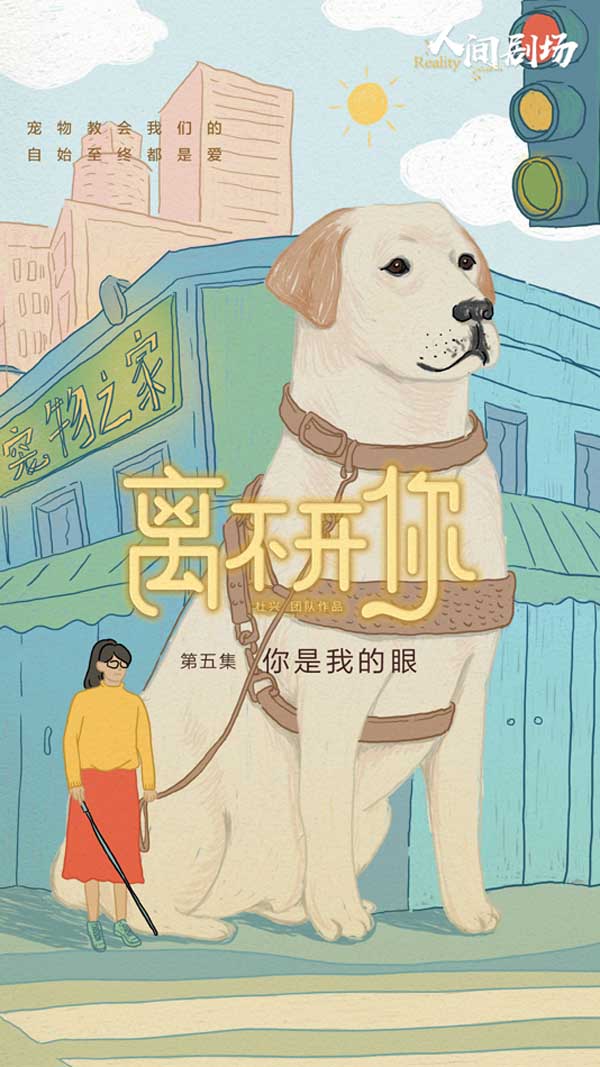 爱奇艺纪录片《离不开你》直击导盲犬的4次分离 从分离中感受爱与责任