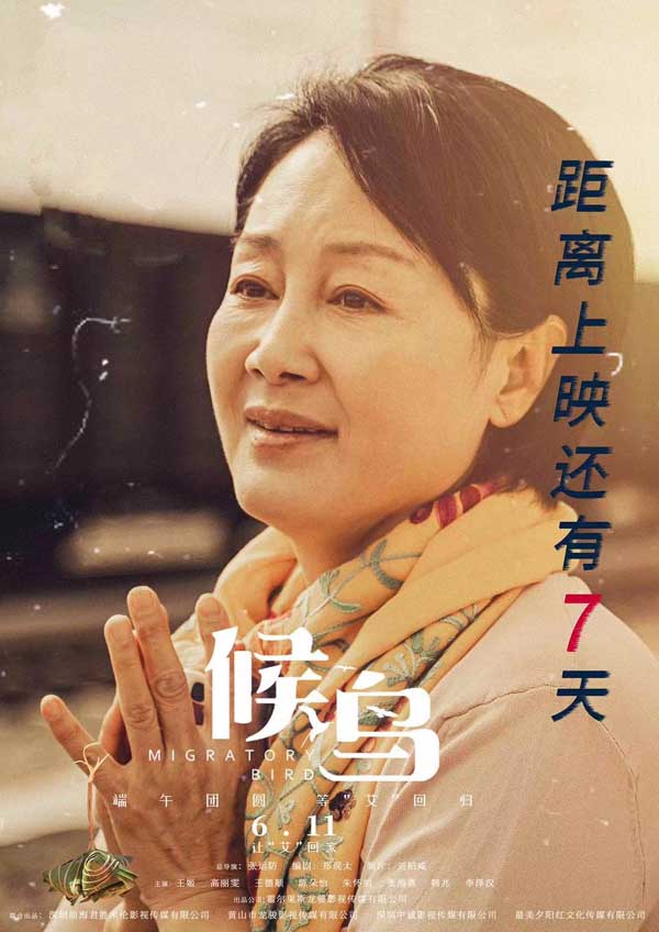 讲述母女故事的亲情催泪大片《候鸟》再度于国际电影节上斩获佳绩。继在巴黎国际电影节获得最佳影片、最佳导演两项大奖后，《候鸟》又在吕勒奥国际电影节获最佳导演奖，并入围五大洲国际电影节、金麻雀国际电影节。