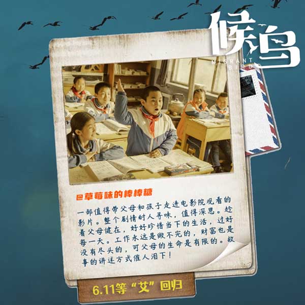 讲述母女故事的亲情催泪大片《候鸟》再度于国际电影节上斩获佳绩。继在巴黎国际电影节获得最佳影片、最佳导演两项大奖后，《候鸟》又在吕勒奥国际电影节获最佳导演奖，并入围五大洲国际电影节、金麻雀国际电影节。