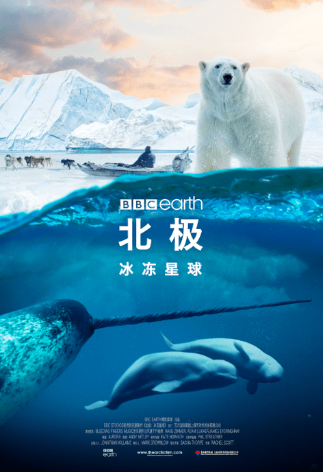 BBC Earth全新巨幕影片《北极：冰冻星球》揭幕北京国际电影节科技单元