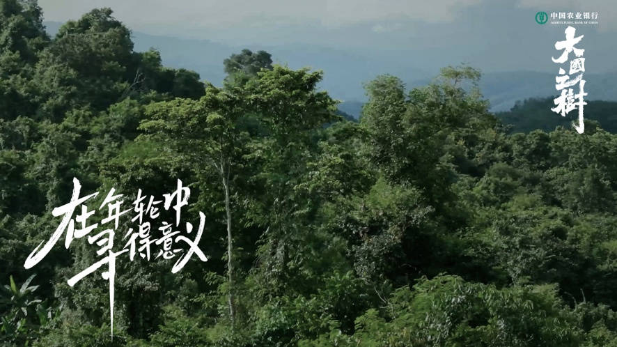 腾讯新闻《大国之树》开播 王昱珩探寻珍稀树种讲述背后人文故事