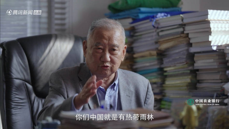 腾讯新闻《大国之树》开播 王昱珩探寻珍稀树种讲述背后人文故事